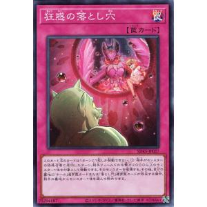 遊戯王オフィシャルカードゲーム デュエルモンスターズ 遊戯王カード