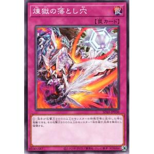 遊戯王カード 煉獄の落とし穴(ノーマル) 蟲惑魔の森（SD45） |   ストラクチャーデッキ こわ...