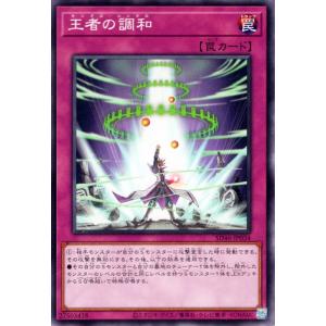 遊戯王オフィシャルカードゲーム デュエルモンスターズ 遊戯王カード