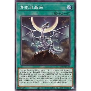 コナミデジタルエンタテインメント 遊戯王 SD47-JPP06 青眼の