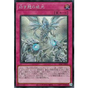 遊戯王カード 白き龍の威光(シークレットレア) ストラクチャーデッキ 青き眼の光臨（SD47） | ...