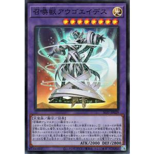 遊戯王オフィシャルカードゲーム デュエルモンスターズ 遊戯王カード