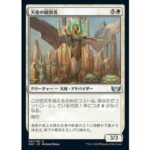 Magic: The Gathering MTG マジック：ザ・ギャザリング 森 Foil