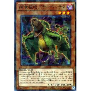遊戯王オフィシャルカードゲーム デュエルモンスターズ 遊戯王