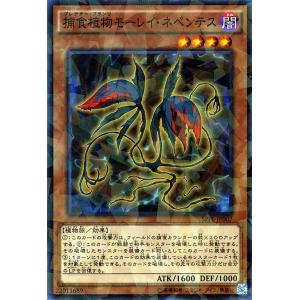 遊戯王オフィシャルカードゲーム デュエルモンスターズ 遊戯王