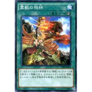 遊戯王オフィシャルカードゲーム デュエルモンスターズ 遊戯王カード