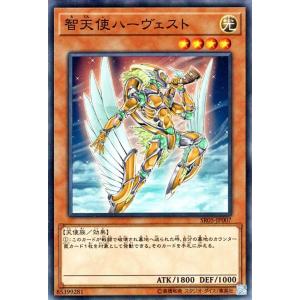 A5058 遊戯王 大量 各約50枚 約200枚 字レア入り 紫光の宣告者 Amazon.co.jp: 遊戯王カード 虚光の宣告者(シークレットレア) LINK