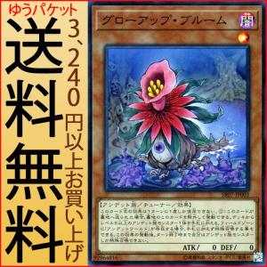 遊戯王 アンデット族 torekado0822_sr07-jp014