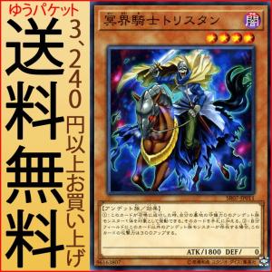 遊戯王オフィシャルカードゲーム デュエルモンスターズ 遊戯王カード