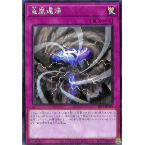 遊戯王オフィシャルカードゲーム デュエルモンスターズ 遊戯王カード