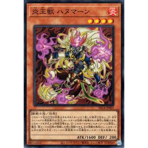 遊戯王オフィシャルカードゲーム デュエルモンスターズ 遊戯王カード
