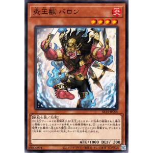 遊戯王オフィシャルカードゲーム デュエルモンスターズ 遊戯王カード
