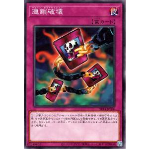 遊戯王オフィシャルカードゲーム デュエルモンスターズ 遊戯王カード