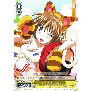 ヴァイスシュヴァルツ 灼眼のシャナIII / 使命の為に