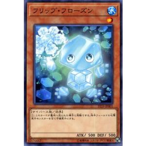 遊戯王オフィシャルカードゲーム デュエルモンスターズ 遊戯王カード