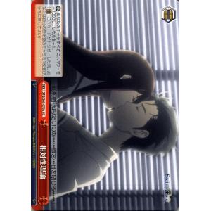 ヴァイスシュヴァルツ STEINS;GATE（シュタインズ・ゲート） 相対性理論(a)(CC) ST...