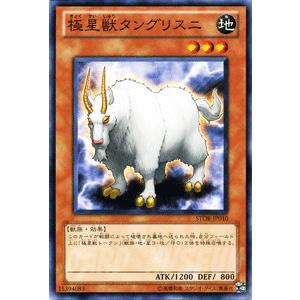 遊戯王オフィシャルカードゲーム デュエルモンスターズ 遊戯王カード