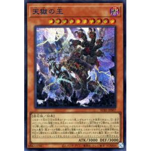 遊戯王オフィシャルカードゲーム デュエルモンスターズ 遊戯王カード