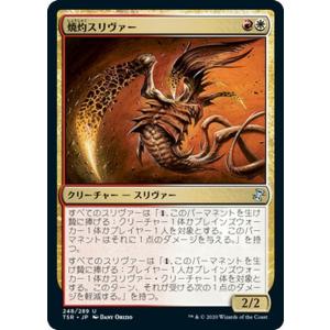 褒賞プログラム　スリヴァートークン３枚セット 褒賞プログラム スリヴァートークン3枚セット LGN)《スリヴァー