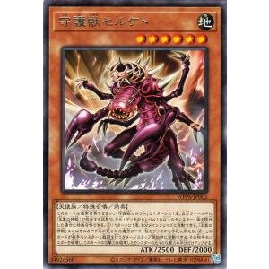 遊戯王カード 守護獣セルケト(レア) WORLD PREMIERE PACK 2025（WPP6） ...