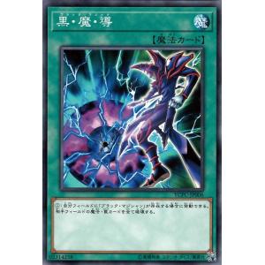 遊戯王オフィシャルカードゲーム デュエルモンスターズ 遊戯王カード