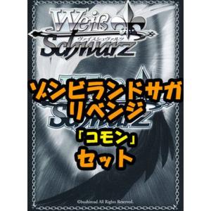 ヴァイスシュヴァルツ ゾンビランドサガ リベンジ 水野 愛(RR) ZLS/W93