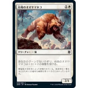 マジックザギャザリング　基本土地　旧ZEN　FOIL１１枚セット マジックザギャザリング 基本土地 旧ZEN FOIL11枚セット