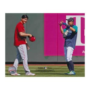 【限定品】大谷翔平選手WBCゴールドカラー　シリアルナンバー入り 祝優勝 2023 WBC 大谷 翔平選手（打者）ゴールドカラーコイン 日本郵便