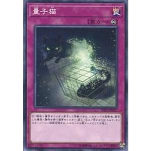 SD32-JP037 量子猫 (ノーマル) 罠 遊戯王