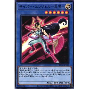 ブシロード ヴァンガード D-TB06／MSR19 幸福を綴る「聖皇女