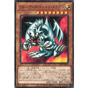 遊戯王オフィシャルカードゲーム デュエルモンスターズ TT02-JPA09 灰