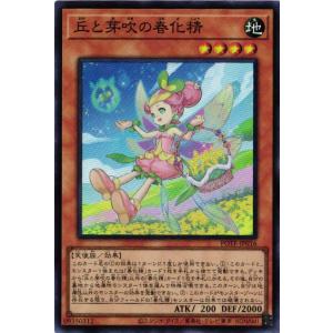 遊戯王オフィシャルカードゲーム デュエルモンスターズ TT02-JPA09 灰
