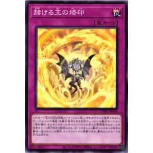 遊戯王オフィシャルカードゲーム デュエルモンスターズ POTE-JP070