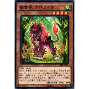 遊戯王オフィシャルカードゲーム デュエルモンスターズ 遊戯王カード