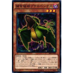 【キズ有り】SPFE-JP003 捕食植物プテロペンテス (ノーマル)効果 遊戯王