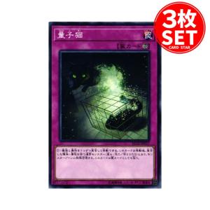 【3枚】SD32-JP037 量子猫 (ノーマル)罠 遊戯王