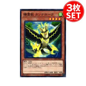 遊戯王オフィシャルカードゲーム デュエルモンスターズ 遊戯王カード