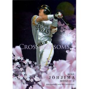 BBM 2010 阪神タイガース　城島健司　ユニフォームカード　ソフトバンク BBM 2010 阪神タイガース 城島健司 ユニフォームカード