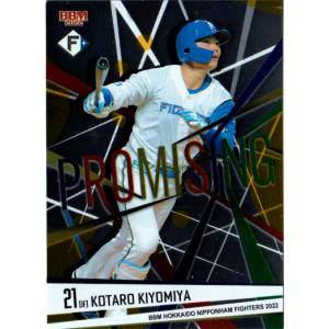 カルビー2023 プロ野球チップス 第二弾 初勝利カード No.FW-06 清宮