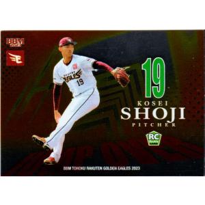 BBM2022 ベースボールカード FUSION 始球式カード No.FP47 真飛聖