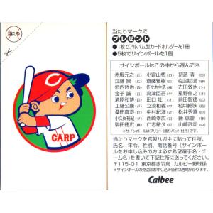 S-45 【BIGBOSS(新庄剛志)/北海道日本ハムファイターズ