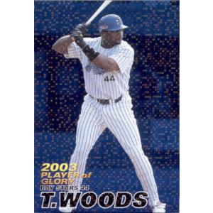 カルビー2004 プロ野球チップス 第一弾 プレイヤー オブ グローリー