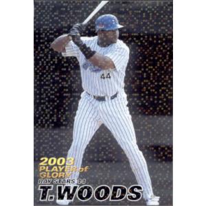 カルビー2004 プロ野球チップス 第一弾 プレイヤー オブ グローリー