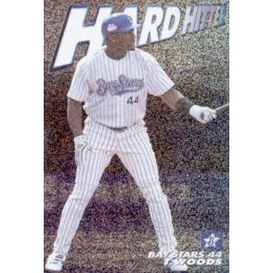 カルビー2004 プロ野球チップス 第一弾 スラッガーカード No.SL