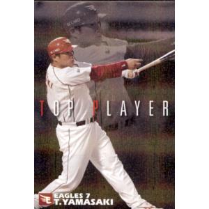 カルビー2007 プロ野球チップス 第二弾 開幕投手・開幕四番