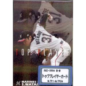 プロ野球チップス2006第2弾スターカード全24種類コンプリート