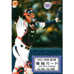 S32 【岡本和真/読売ジャイアンツ】カルビー 2024 プロ野球チップス 第