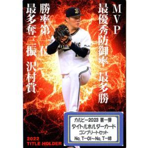 敬虔なガード、ワッカ 拡張foil 日本語 豚*ん様 MTG 敬虔なガード、ワッカ 拡張 foil 日本語 - メルカリ