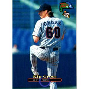 カルビー1996 プロ野球チップス レギュラーカード No.45 グロス