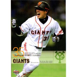 カルビー2006 プロ野球チップス 第三弾 レギュラーカード No.241 関本